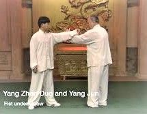 Yang zhen duo et jun 2 