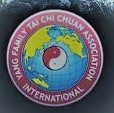 Yang family tai chi chuan association internationale 3 