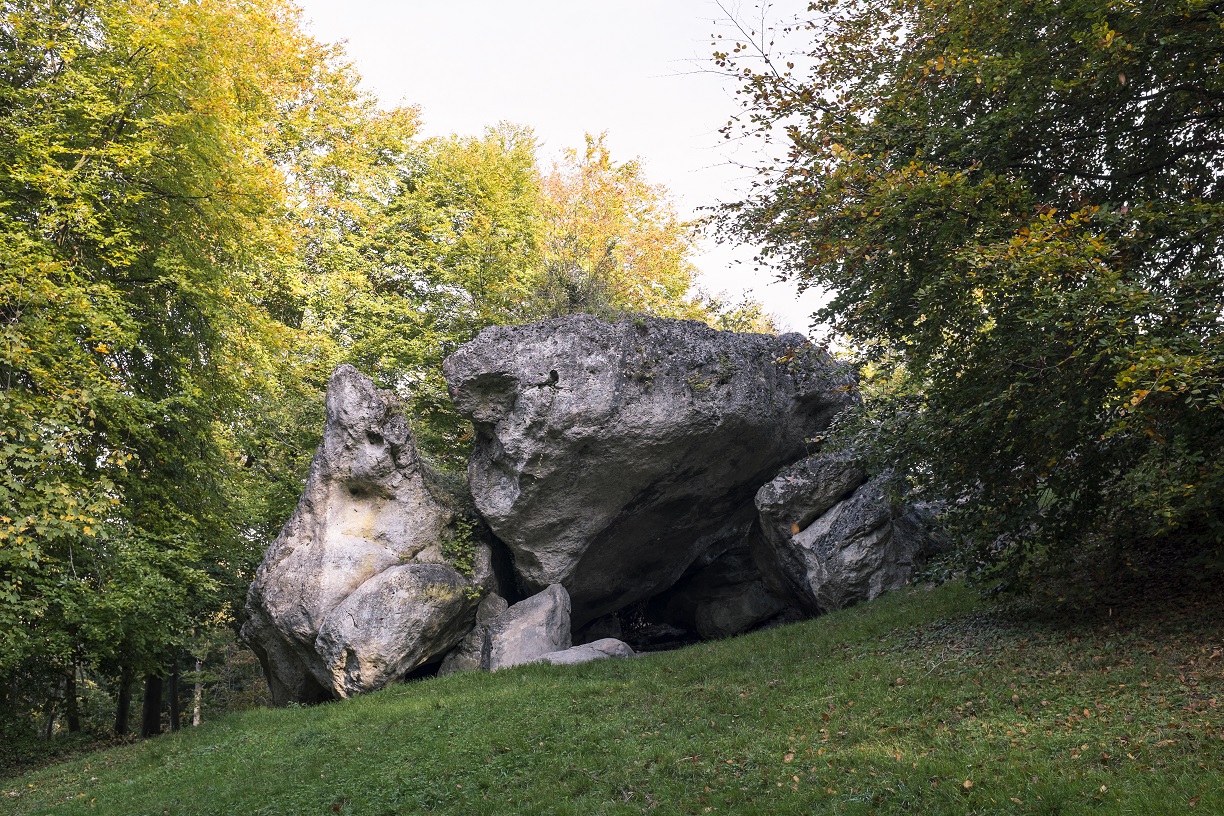 en forêt de Saint-Gobain 02