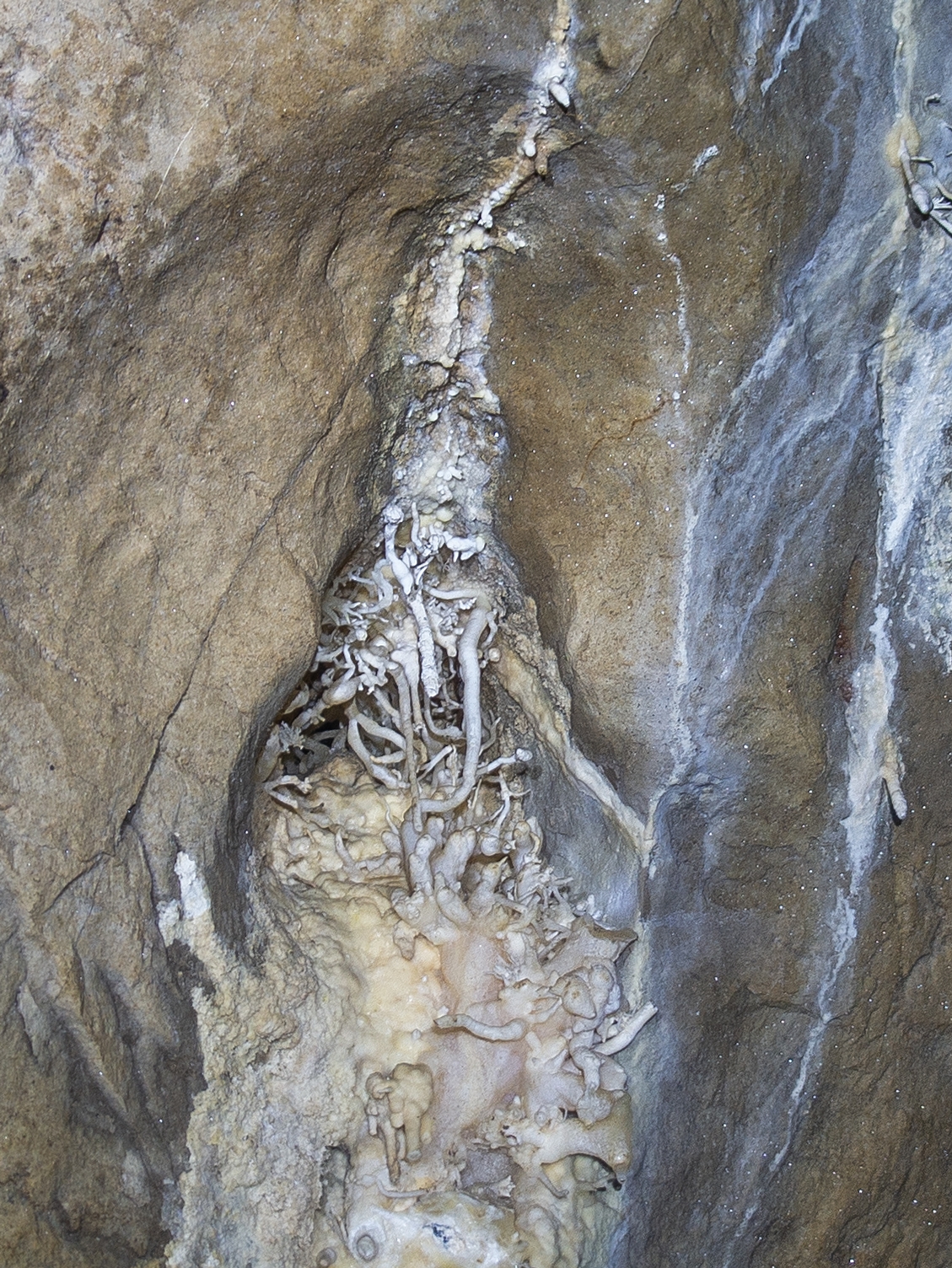 2019 08 25 grotte moulin des isles 12