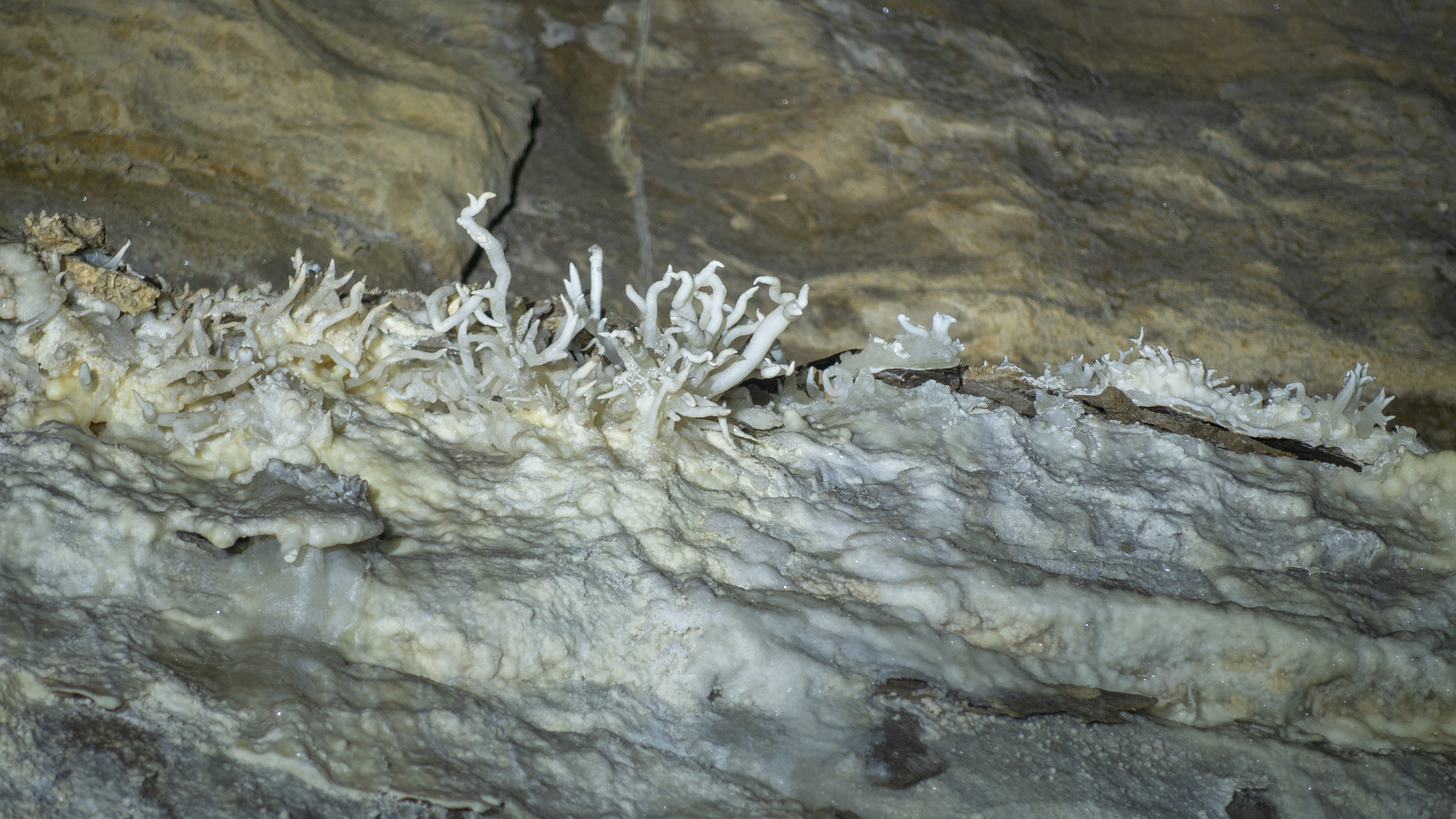2019 08 25 grotte moulin des isles 22