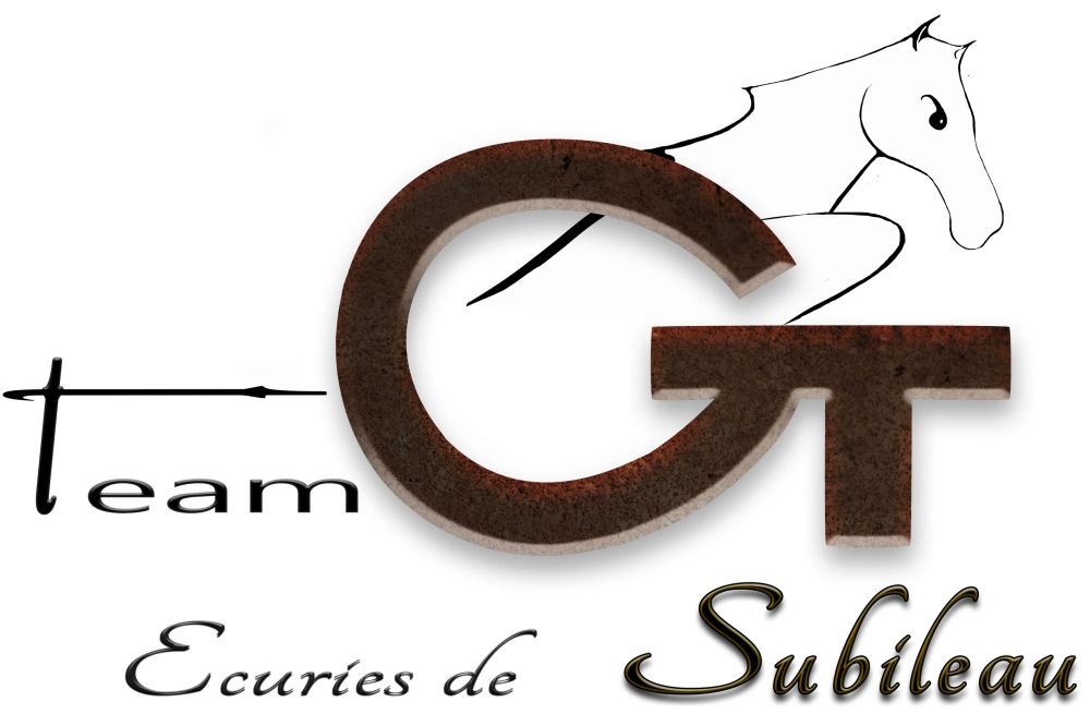 Logo subileau team et Gt refaits