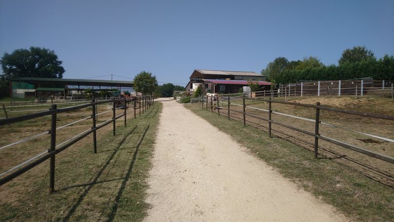 Vue sur le manège