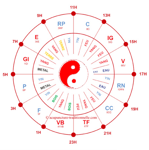 Circ meridiens