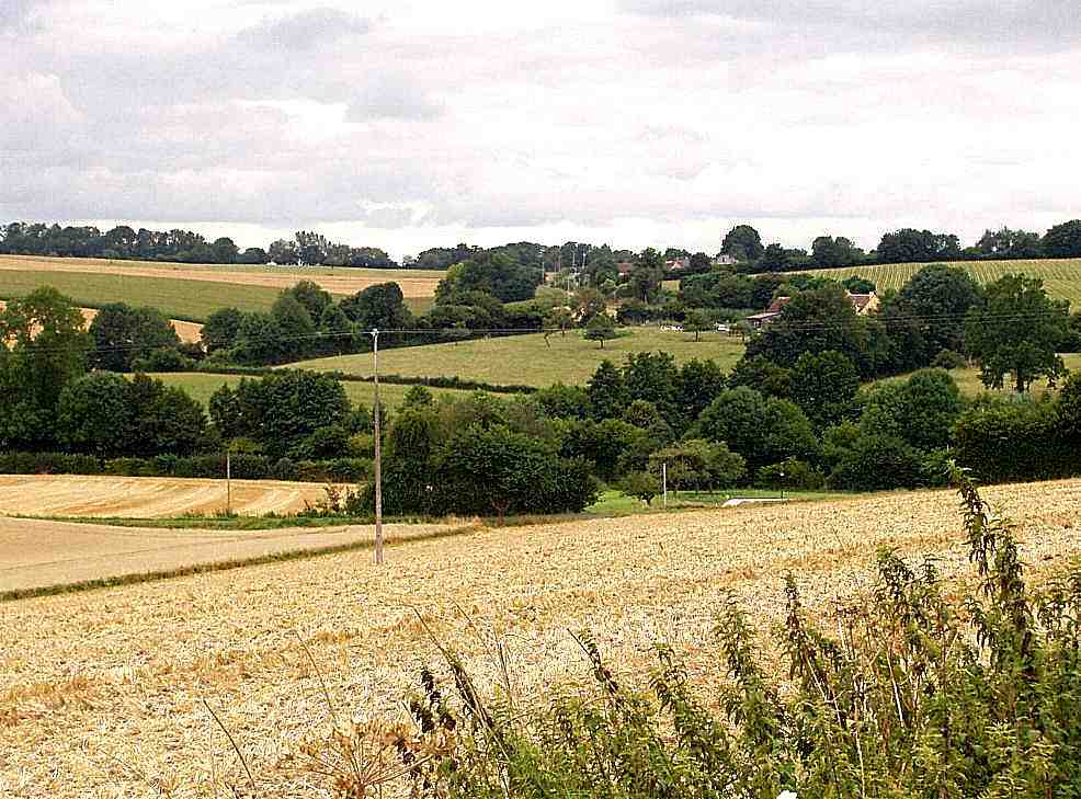 Vallons