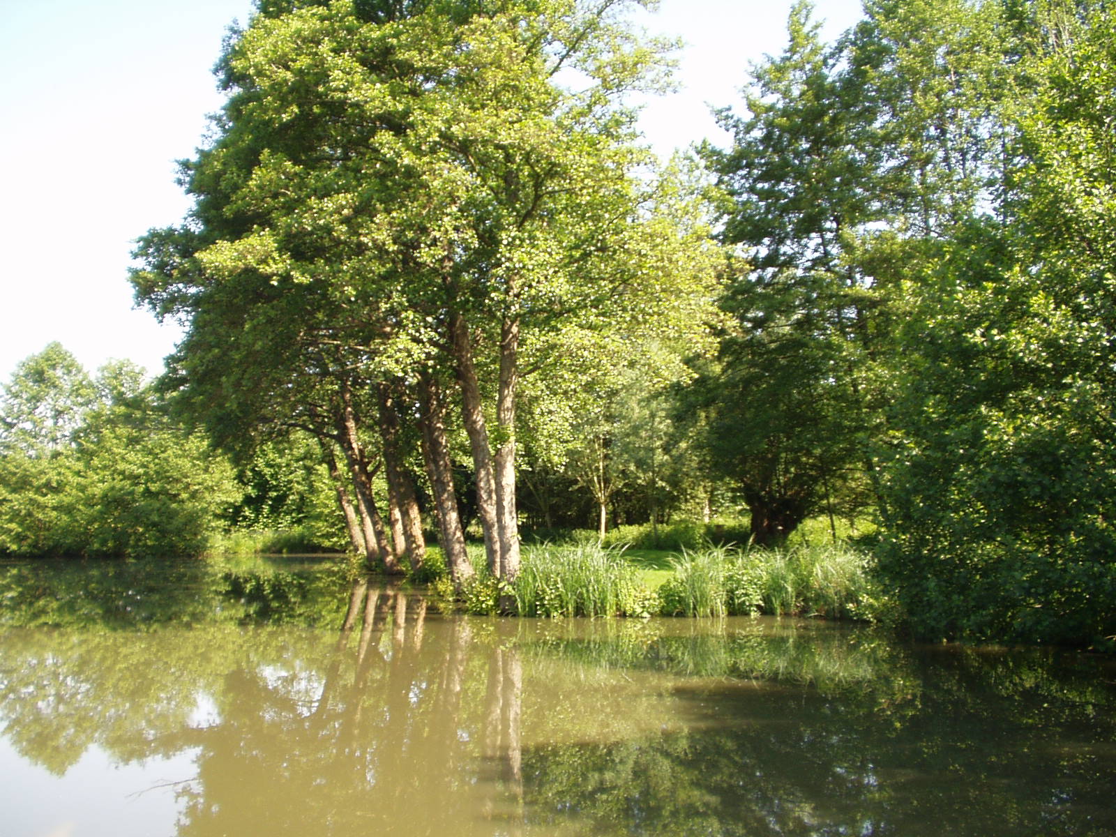 Etang du Parc Nature de Préaux