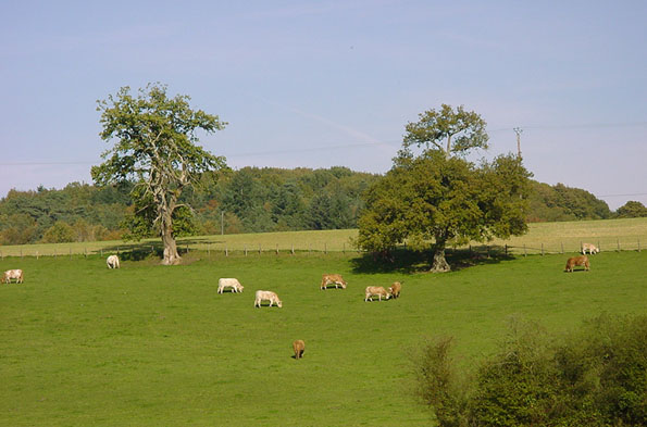 Prairies