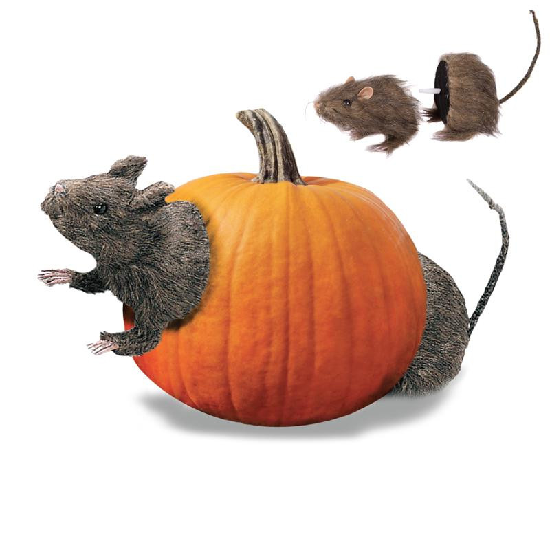 Rat en 2 parties a piquer 21 cm