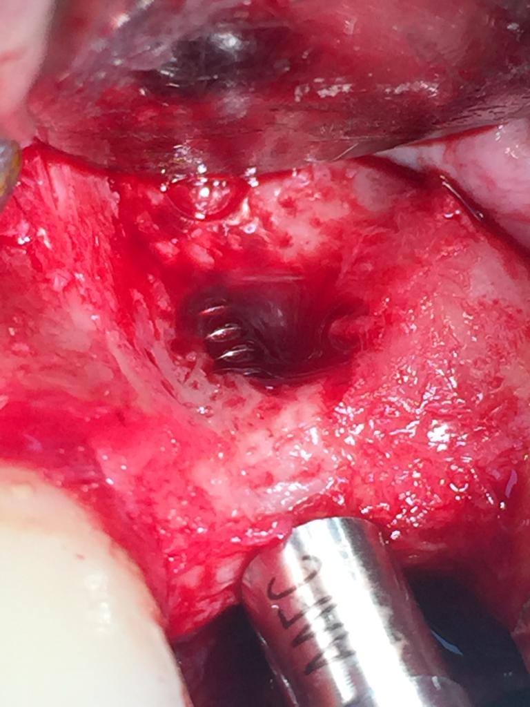 Photo 2019 09 11 07 41 04 1