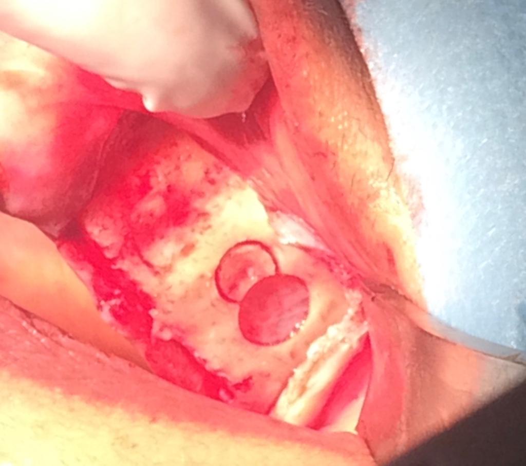 Photo 2019 09 11 07 51 03