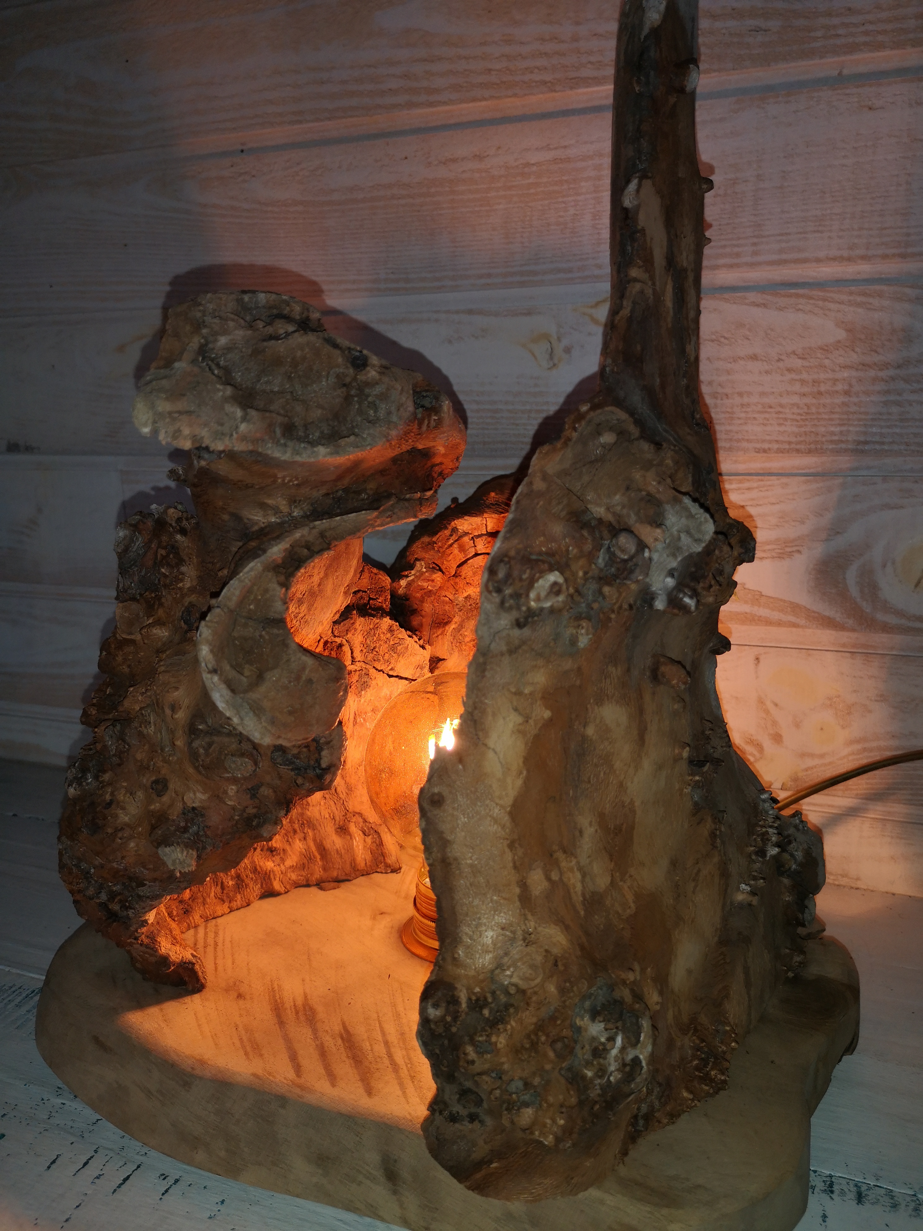 LA GROTTE
REF 1916
95€