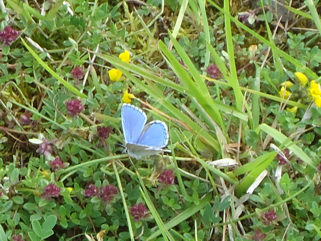Dsc02080