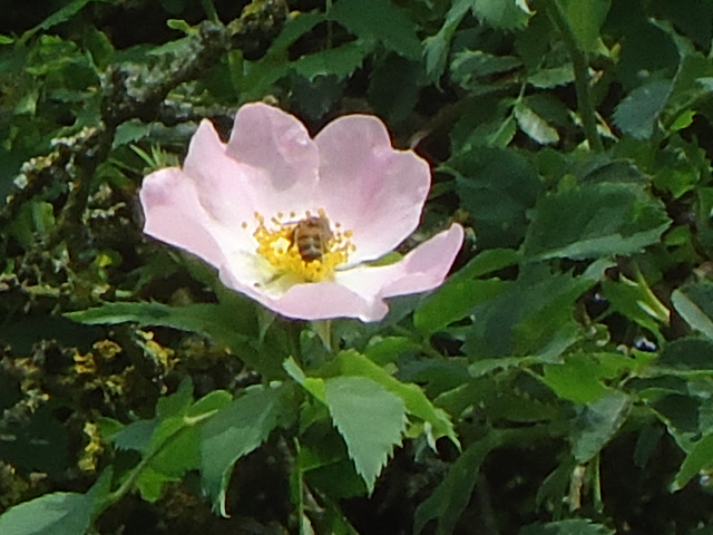Dsc02075