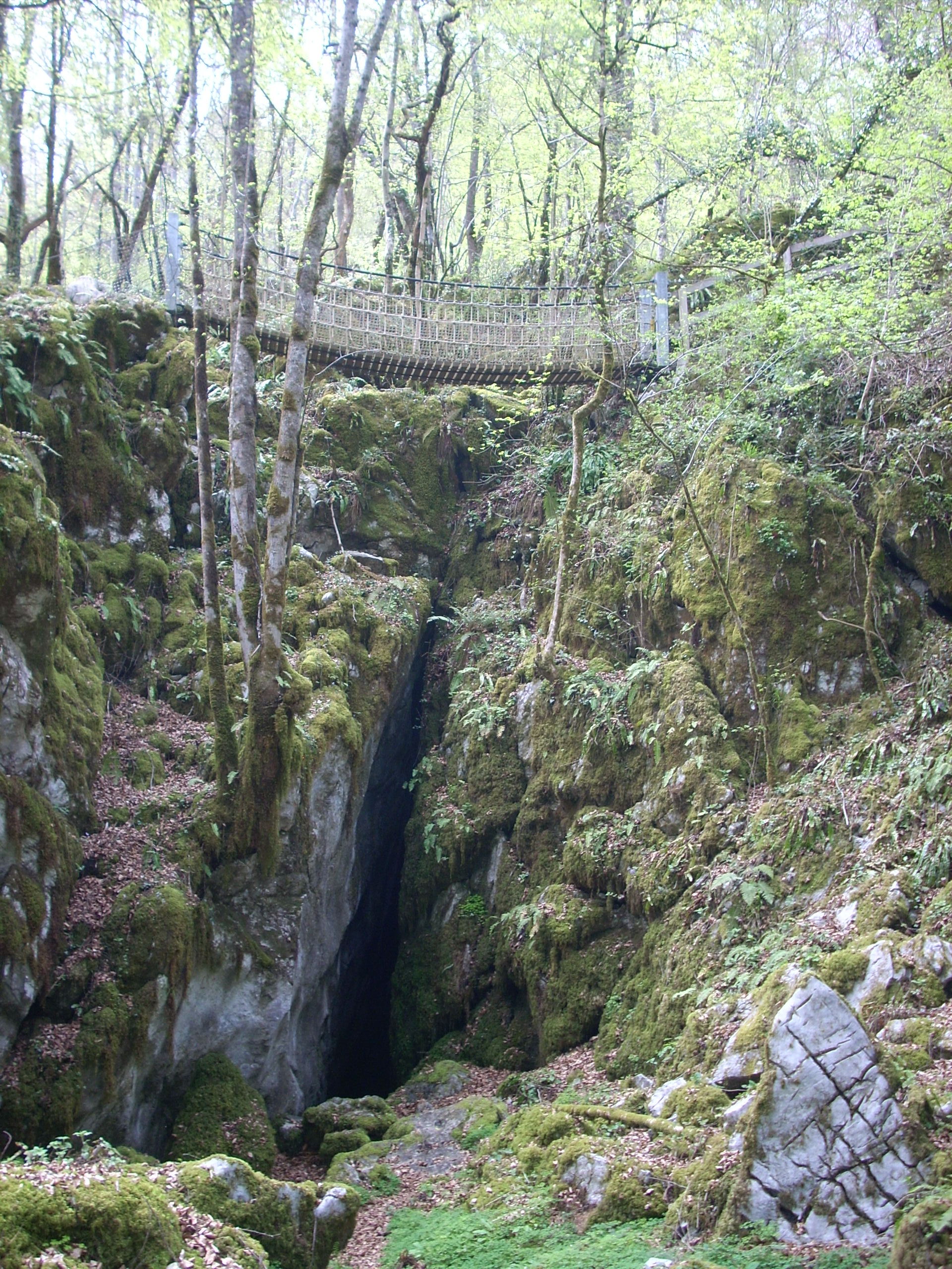 DSCN3859
