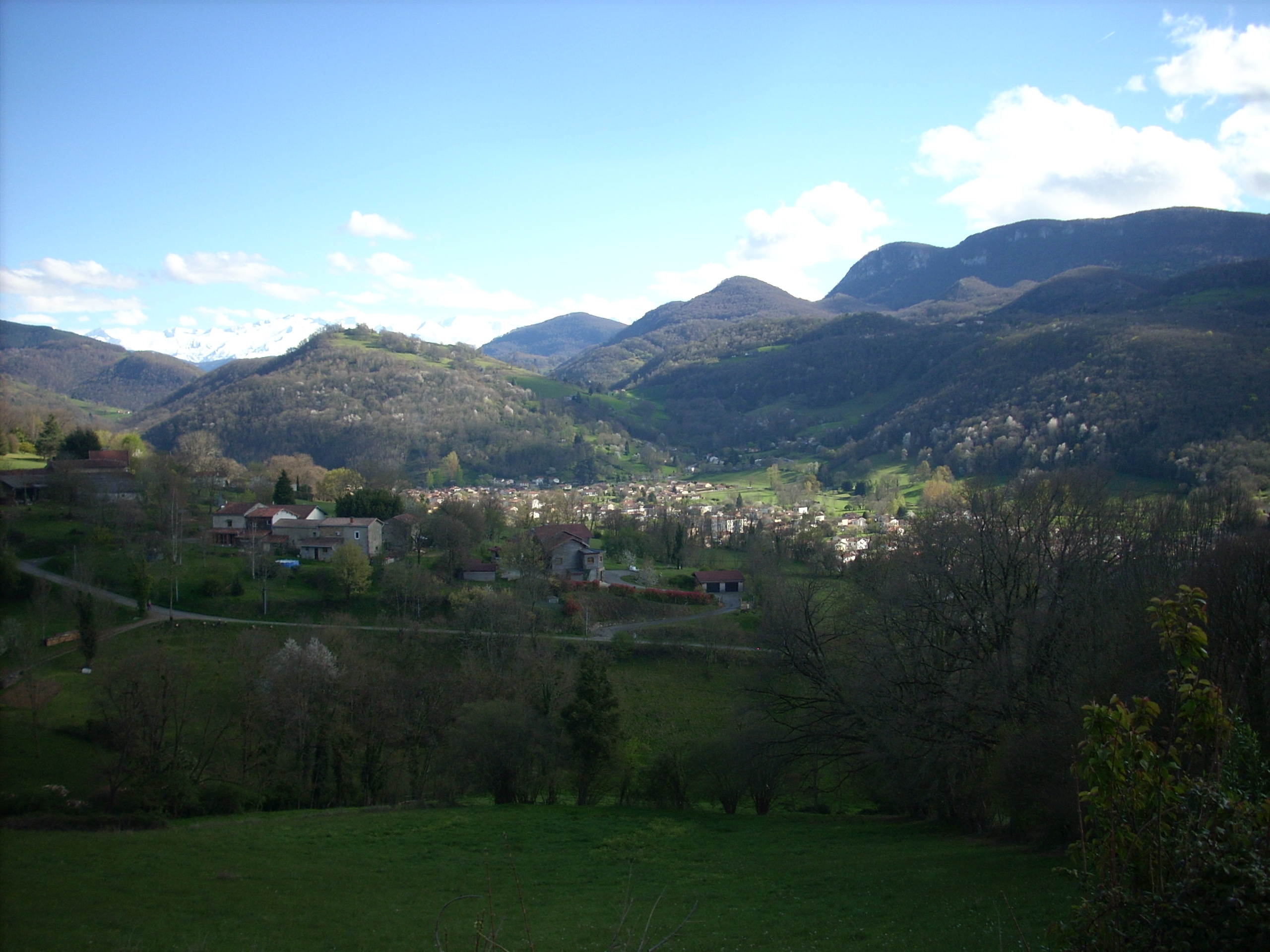 DSCN3843