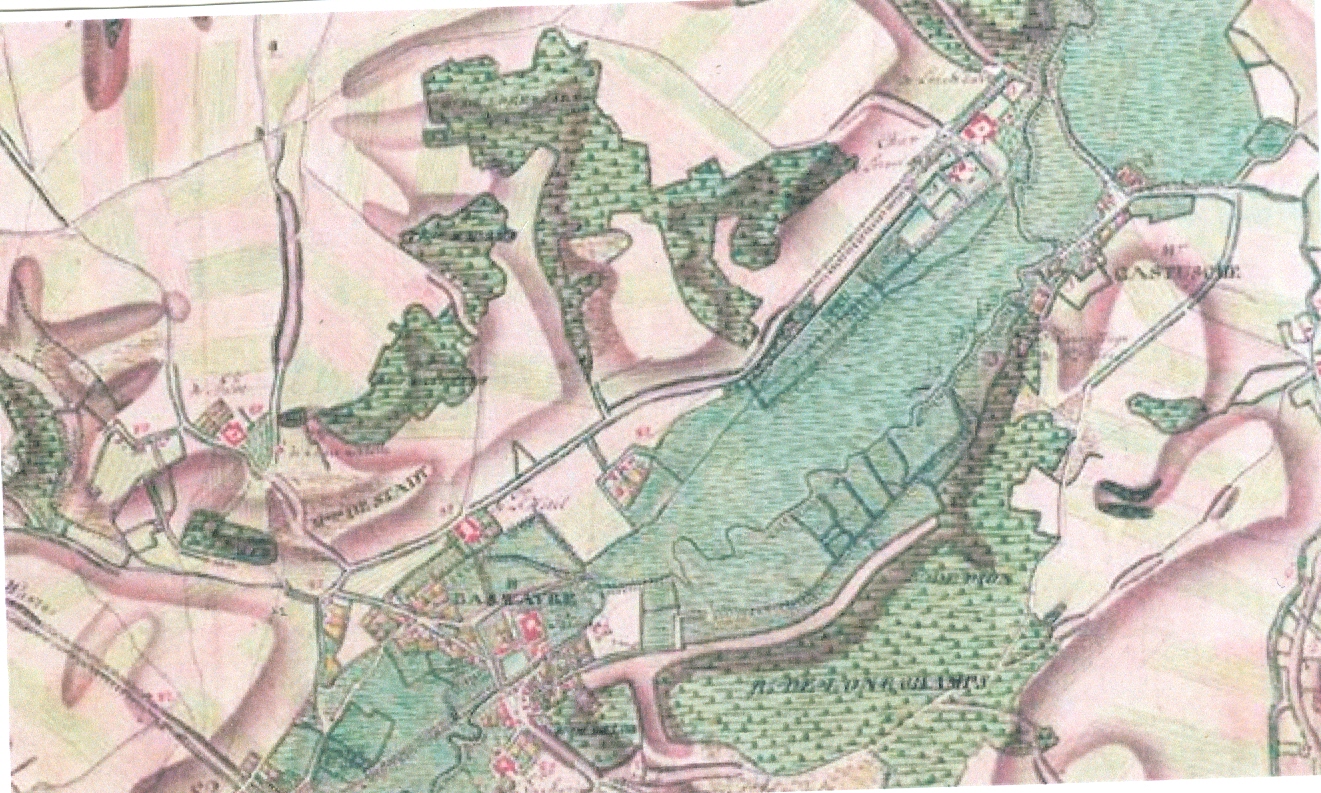 Carte ferari culot