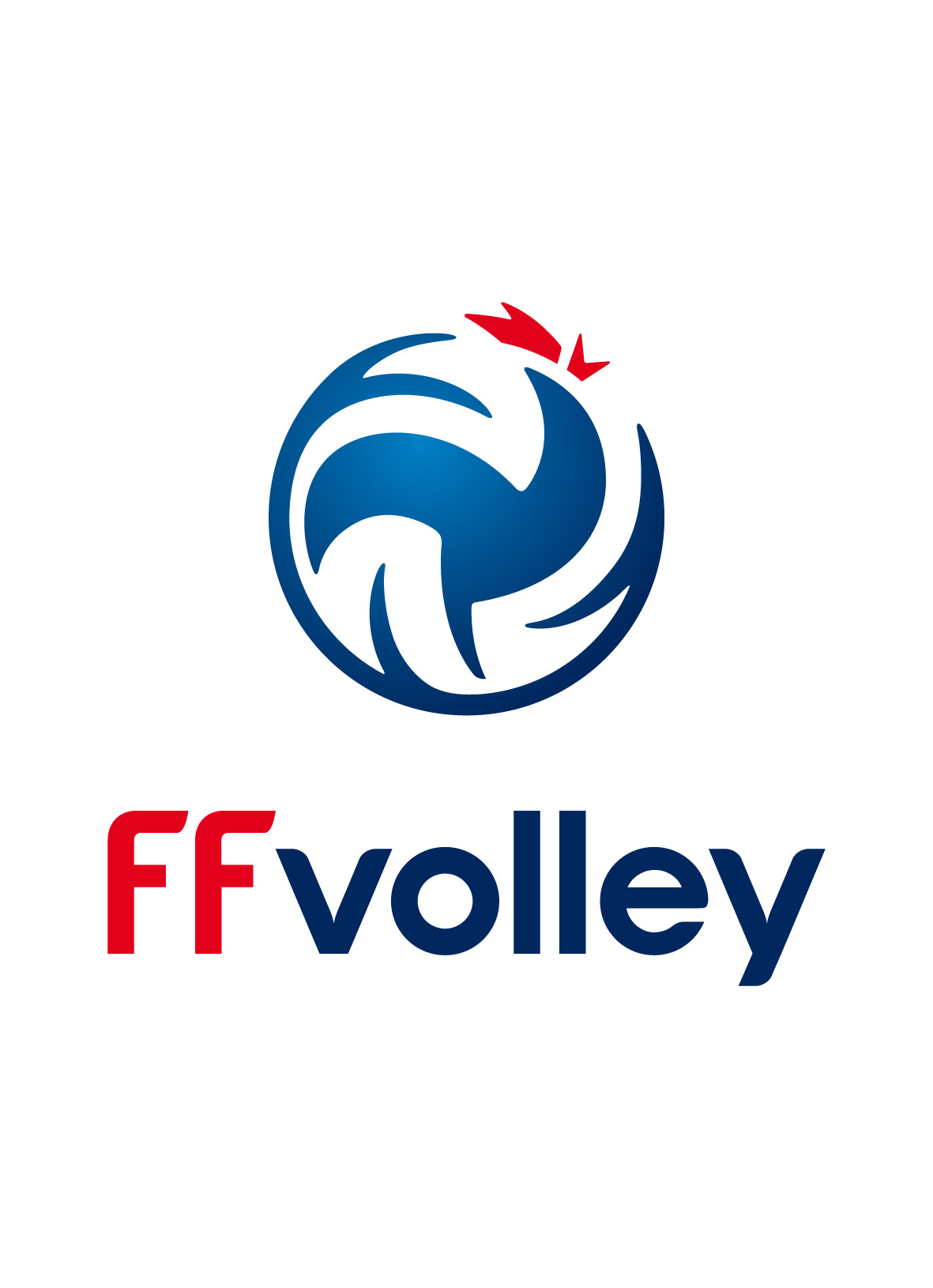 Ffvolley logo gd