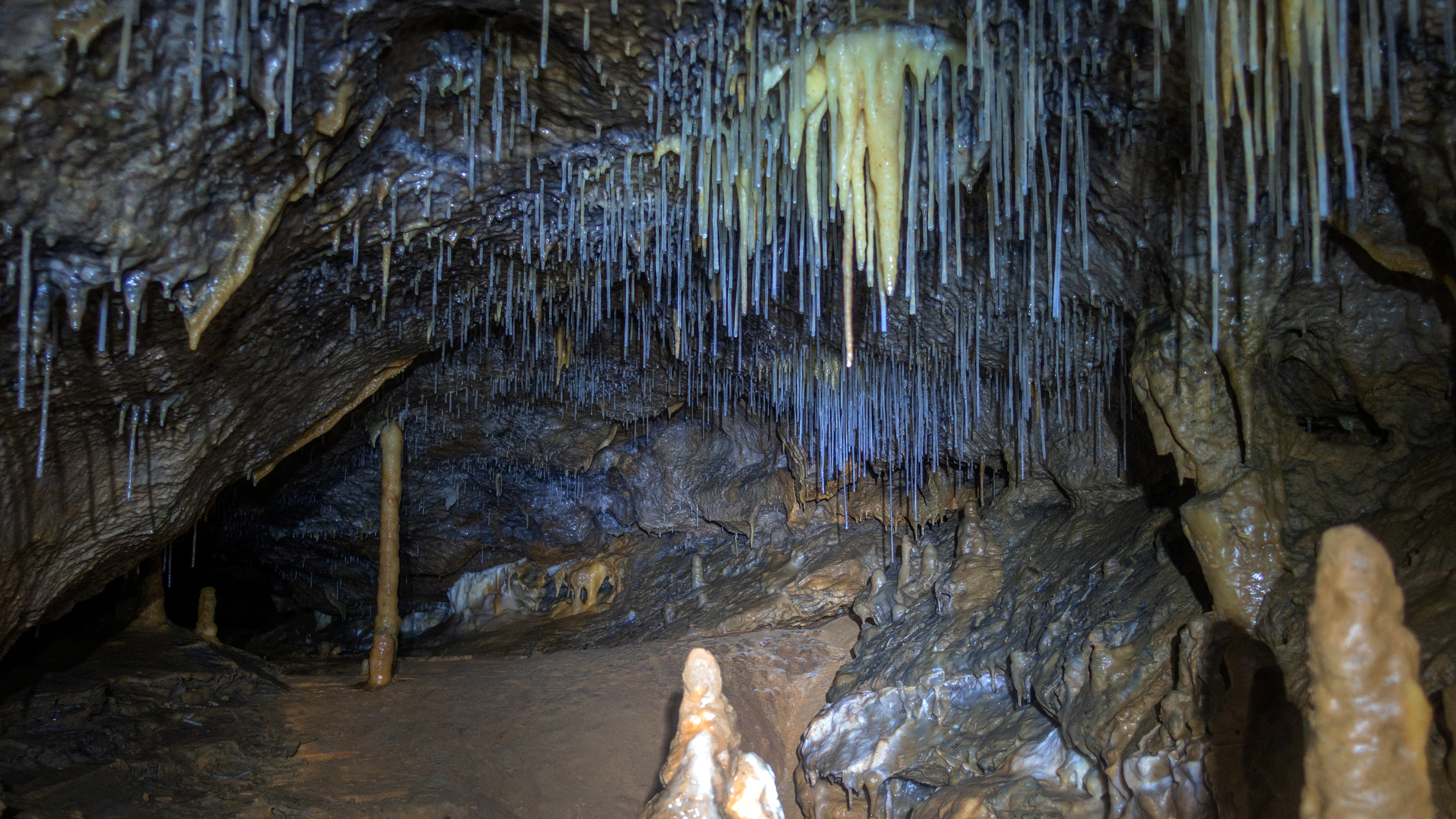 2019 09 22 grotte de lesvaux 44