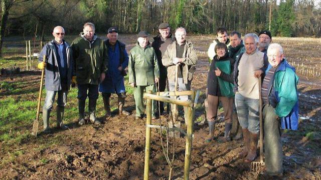 Une trentaine de chataigniers plantes couesle 0