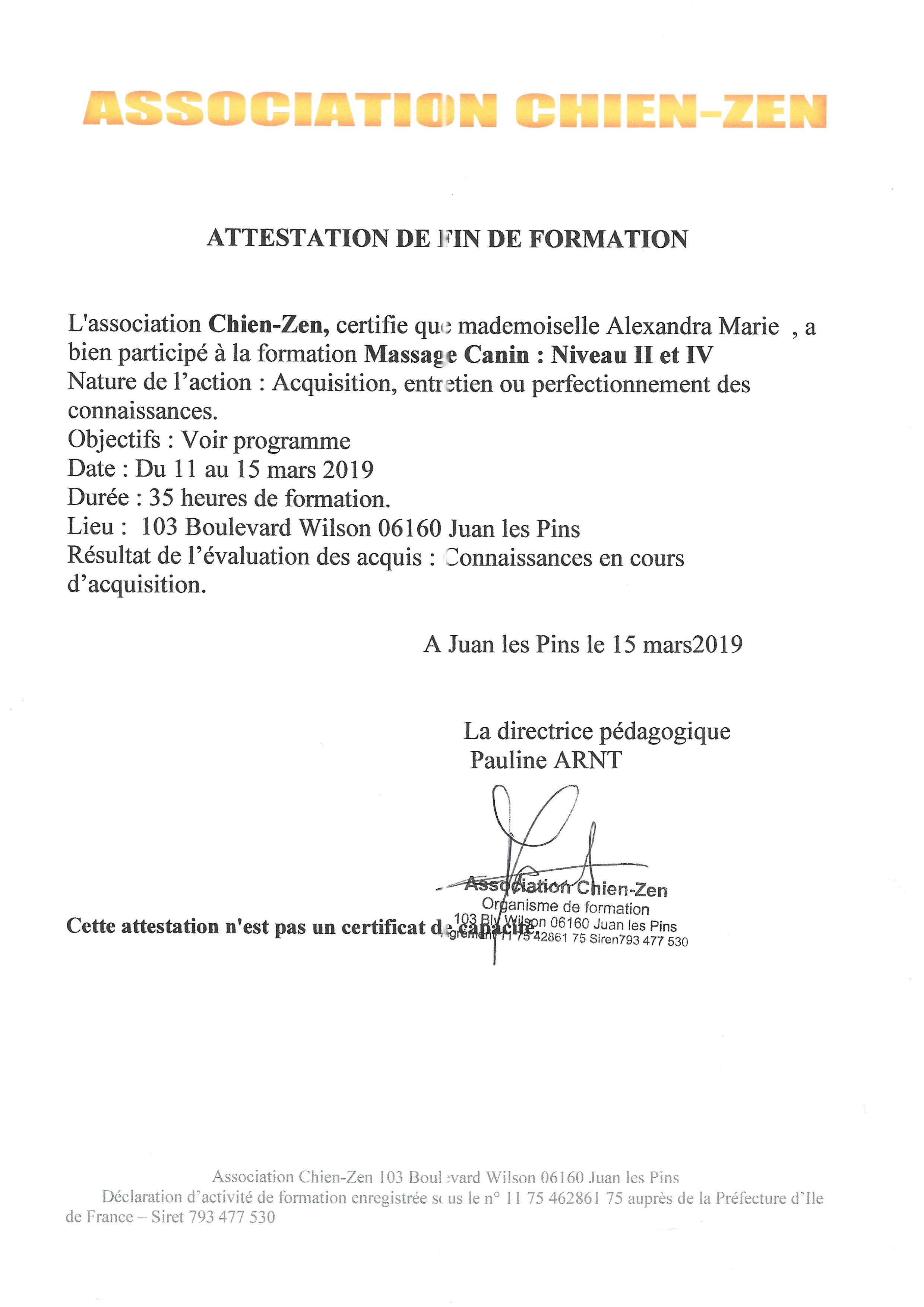 Formation massage canin énergétique