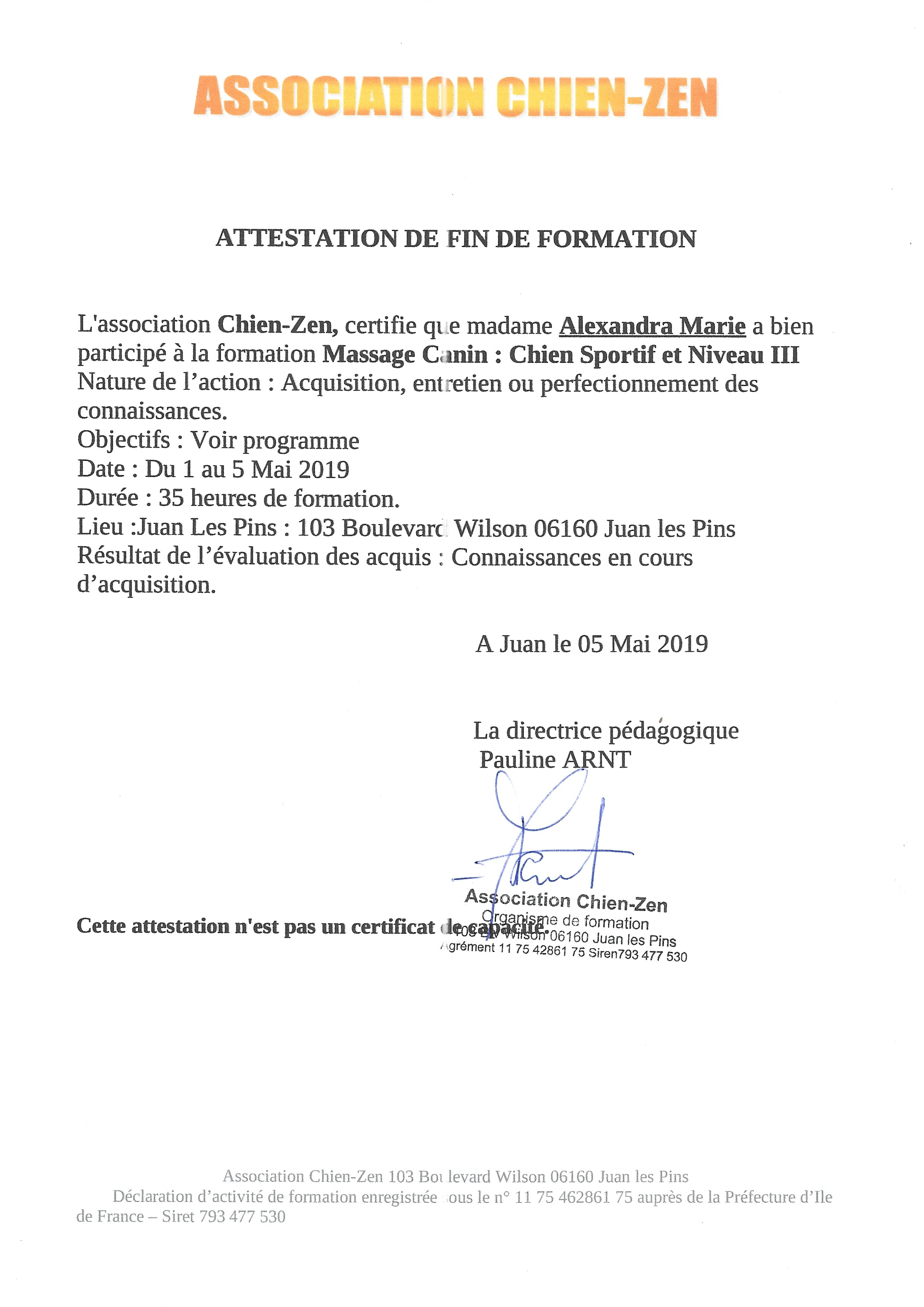 Formation massage canin chiens sportifs