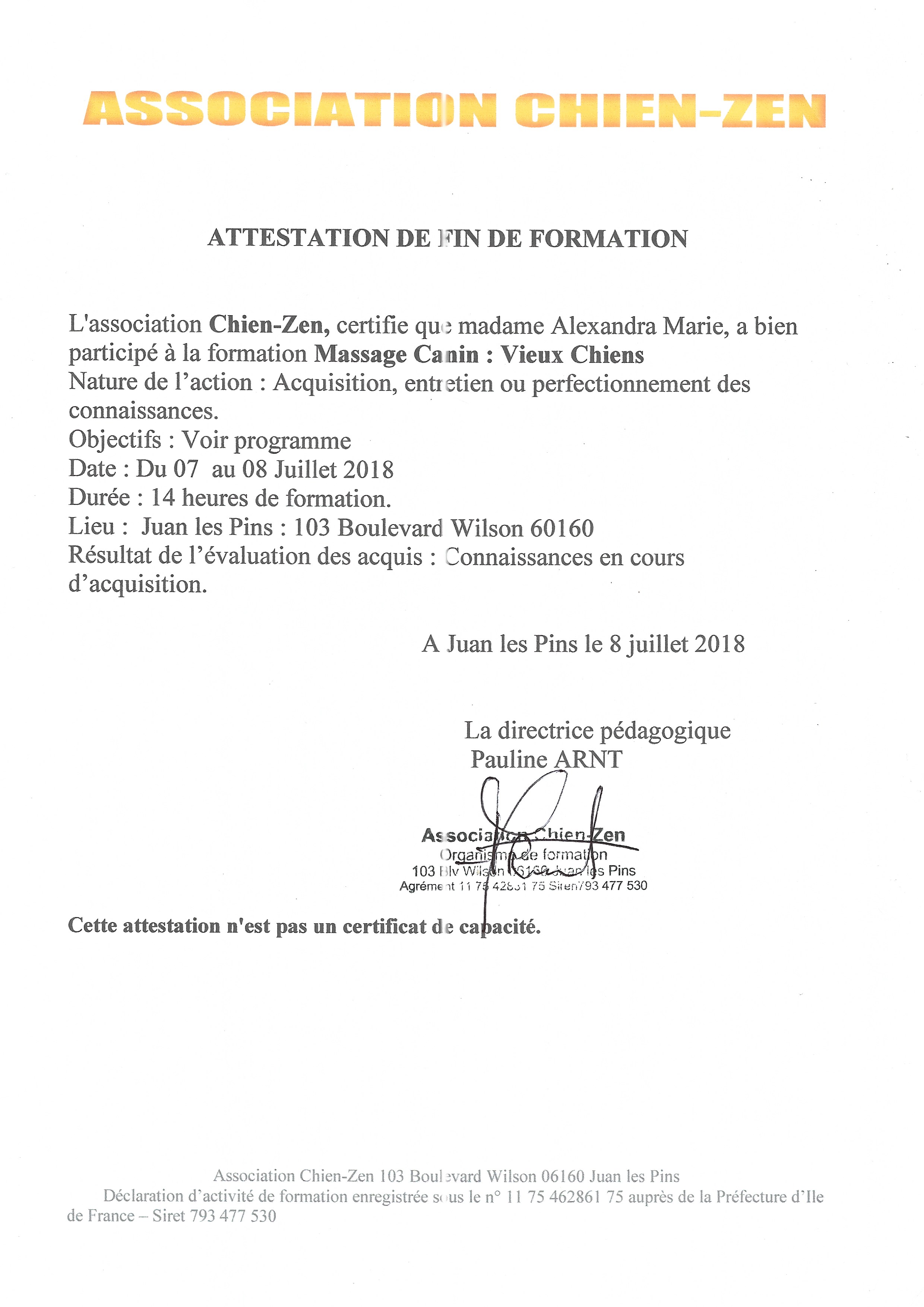 Formation massage canin vieux chien