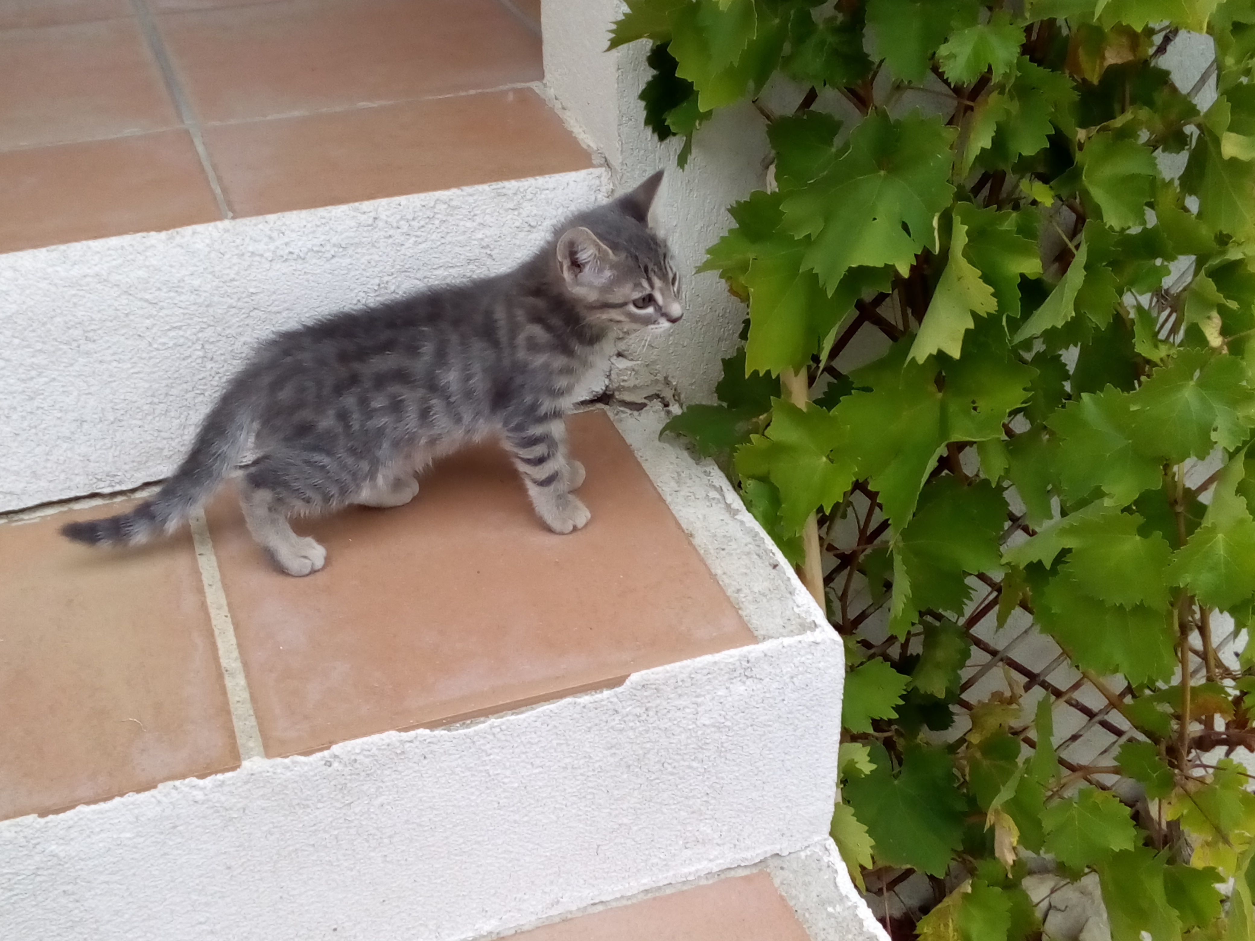 IMG 20191009 142244