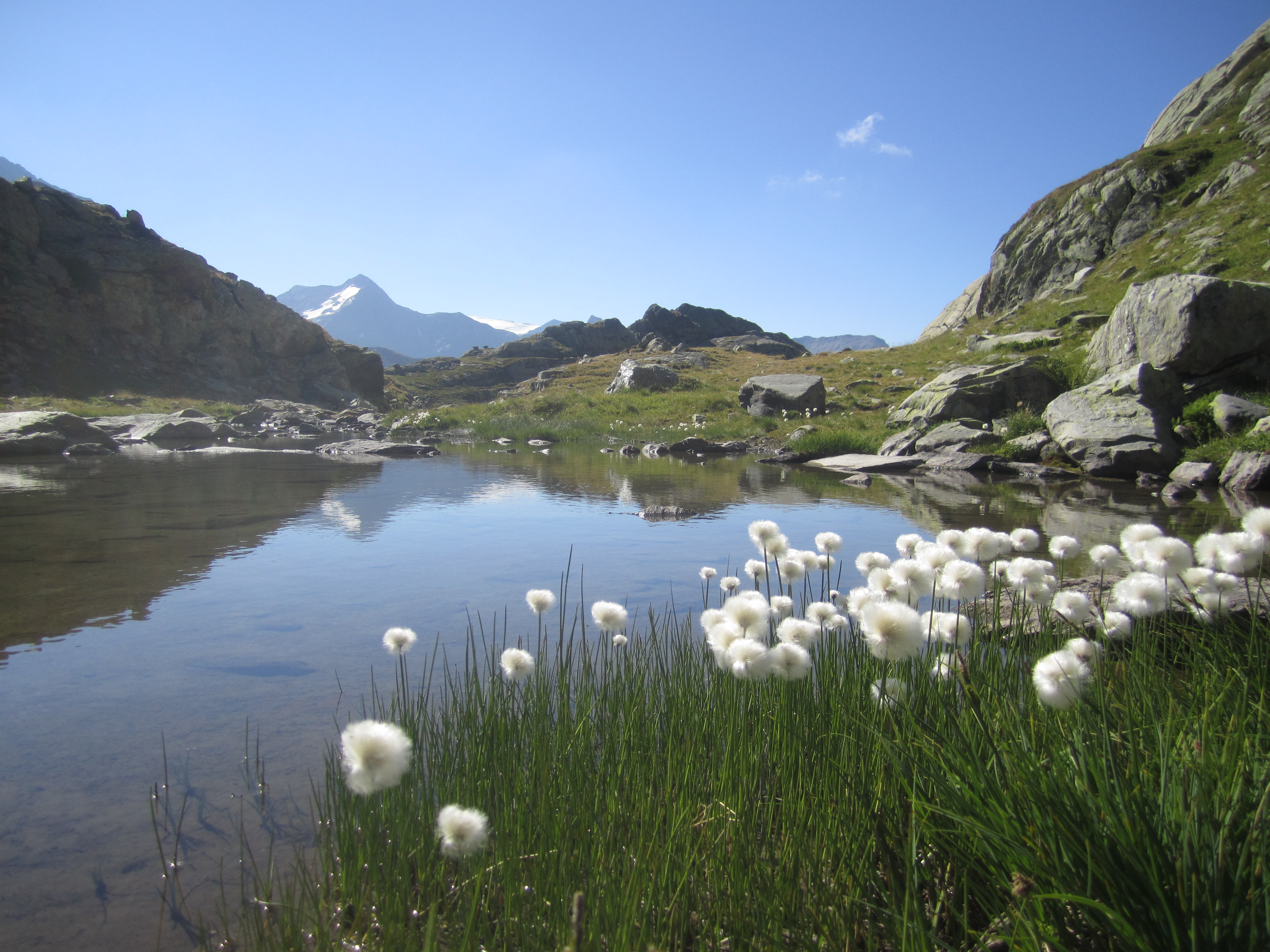 YSAlpes Rando, Ysabel Traissard votre accompagnatrice en montagne vous emmène en randonnée pédestre à Aime la Plagne en Tarentaise, Vanoise et Beaufortain, en balade en raquettes à neige à la Plagne.
YSAlpes Rando ce sont aussi des séances de marche nordique en Savoie, Tarentaise, Aime la Plagne, Bourg st Maurice avec Ysabel Traissard de YSAlpes Rando.
Cours de marche nordique pour apporter tous les bienfaits de la marche nordique, le sport-santé par excellence, le bien-être aussi.