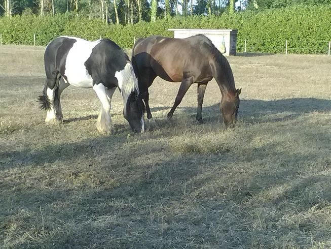 Img 20190920 185652 ben vinci r