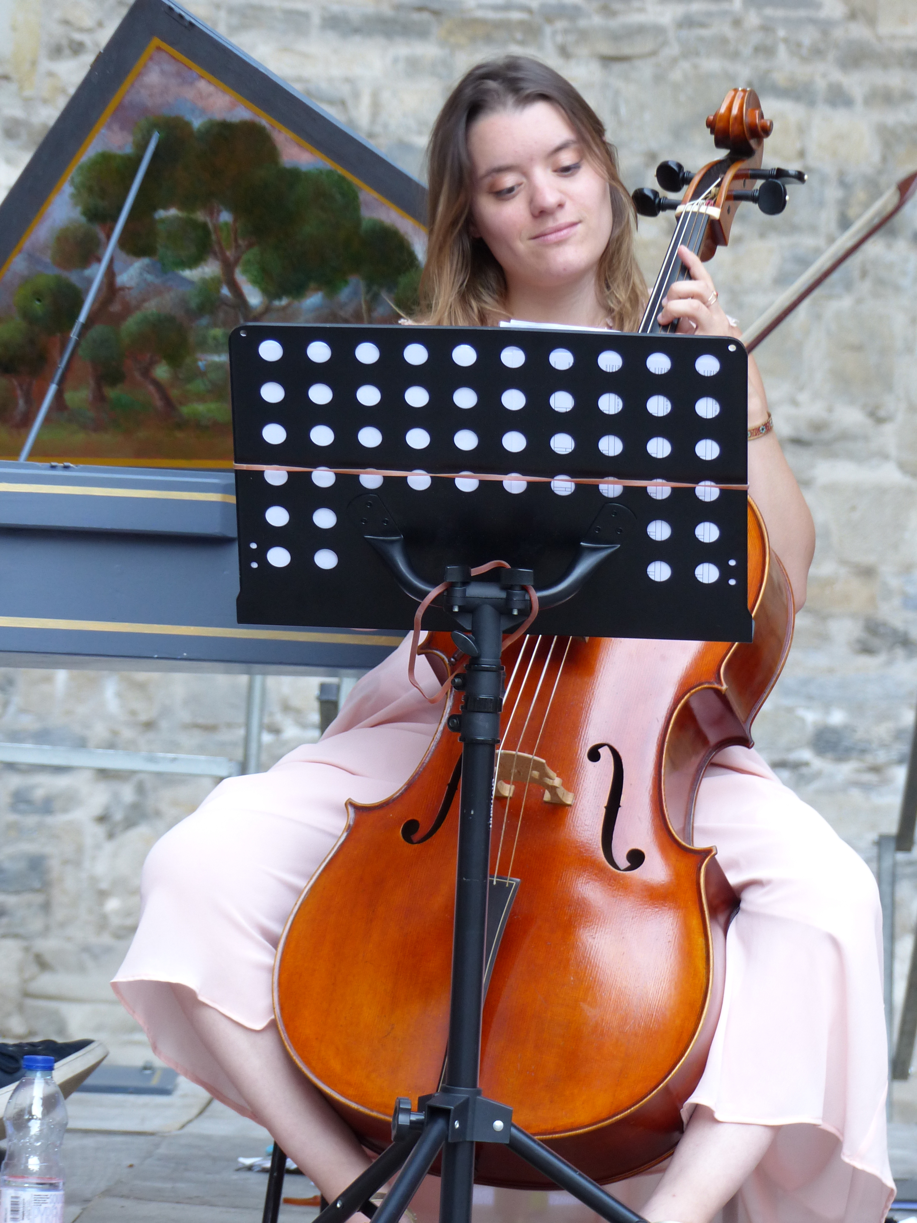 Oui estel