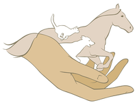 Main animaux