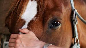 Cheval