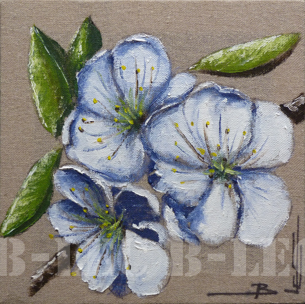 19106 25x25cm