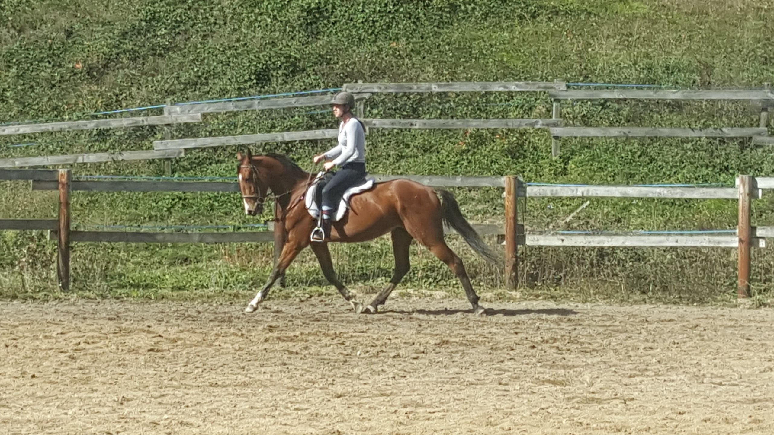 72487055 2473767359535256 3634334427464597504 n