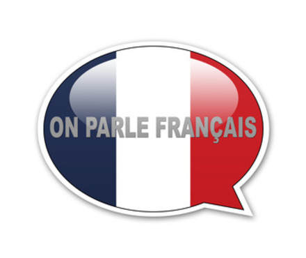 Lart et la maniere de parler francais