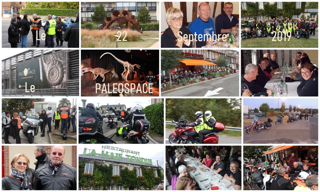 Montage le paleospace