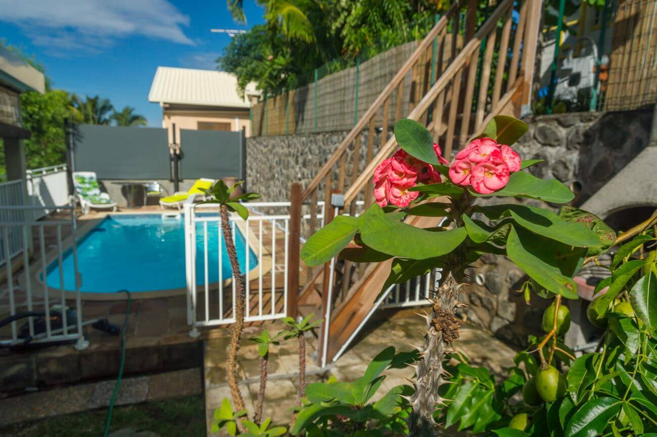 Jardin fleurie avec piscine partagee gite zot case en dur