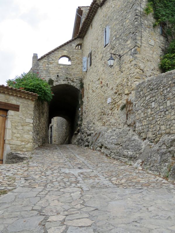Cezebas 7 