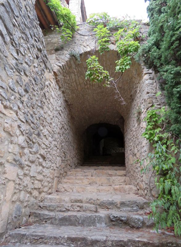 Roque 5 