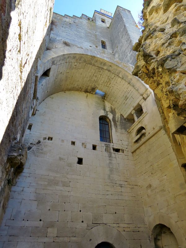 Chamaret 5 