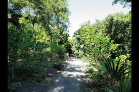 Balade en forêt de l'Etang-Salé