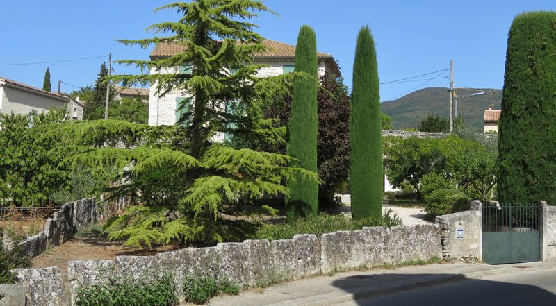 Tauligna 3 