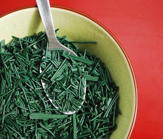 paillette brindille spiruline bio ferme francaise