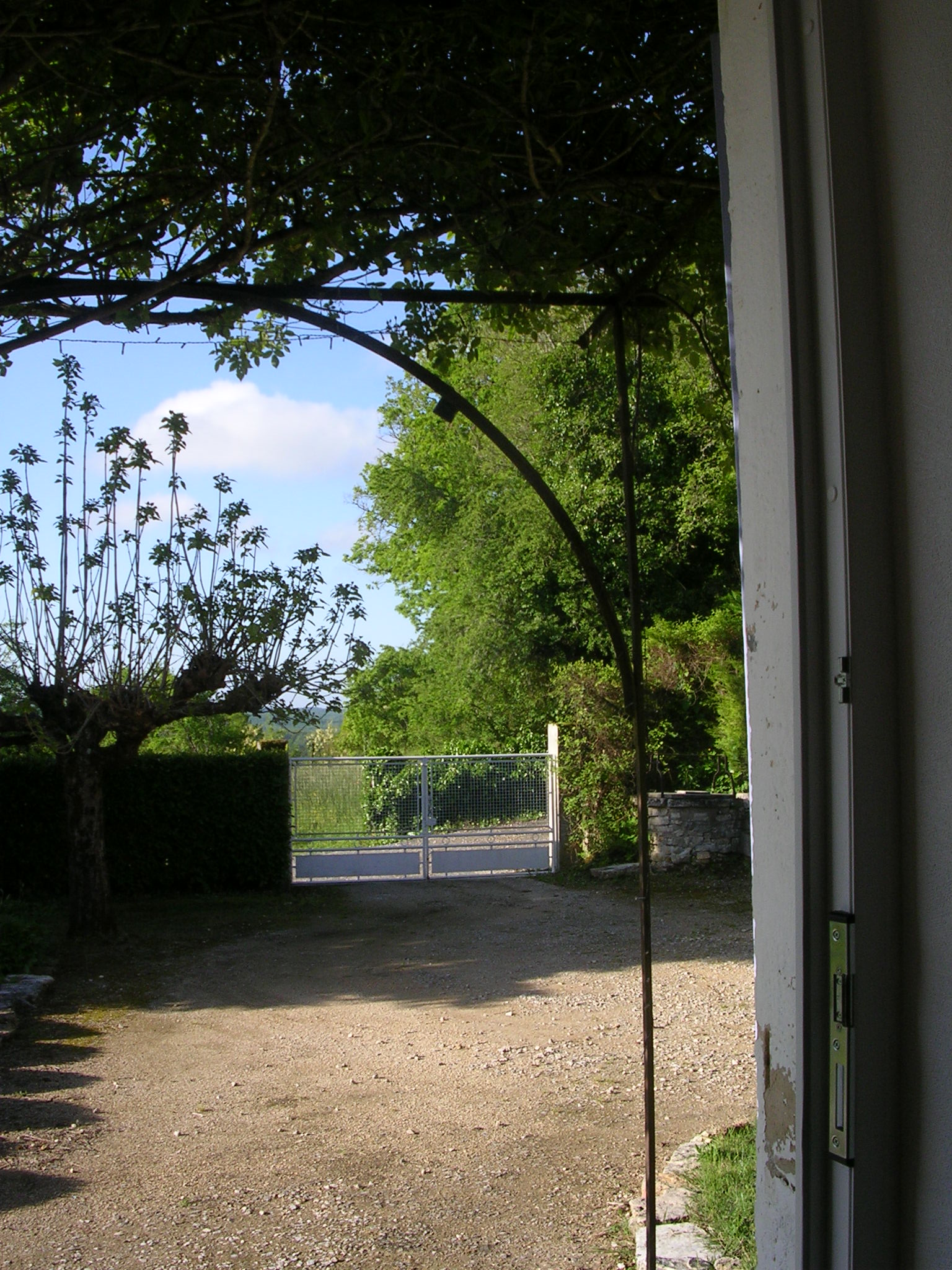 Dscn6234