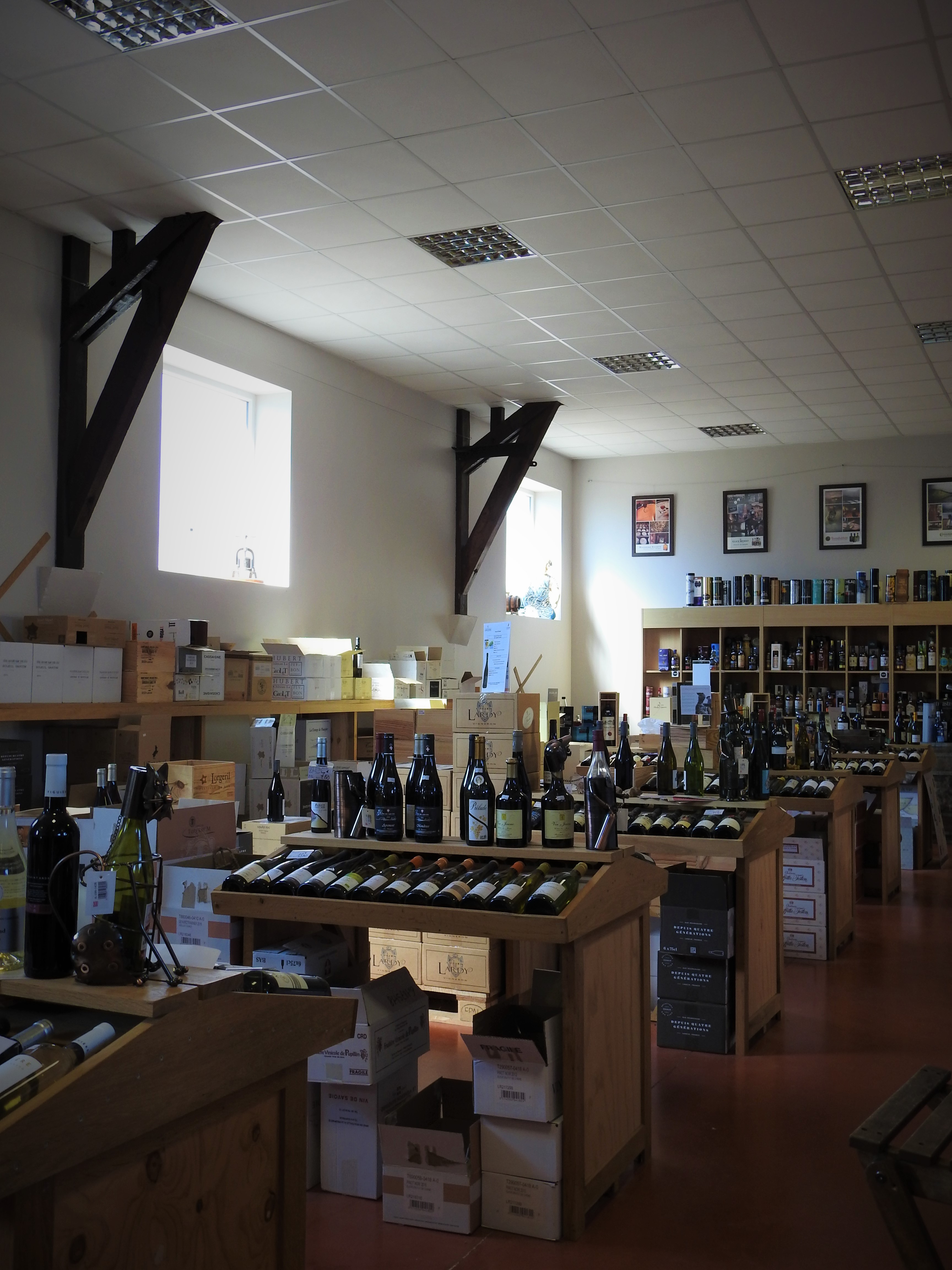 Vins