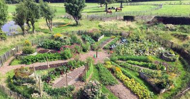 micro fermes, permaculture, jardins permanents, jardin disposé en roue de médecine, respect de la nature