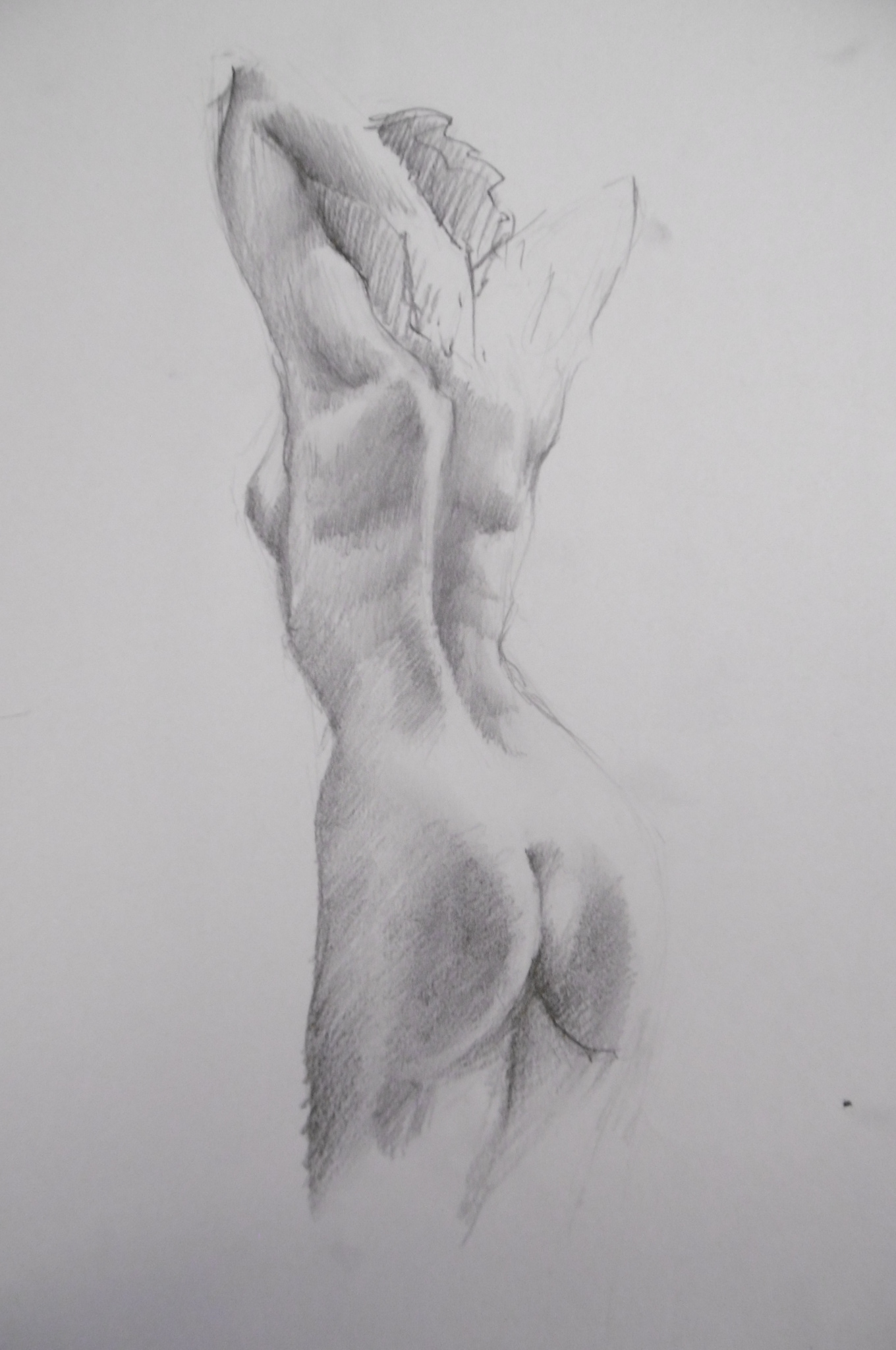 P1060855