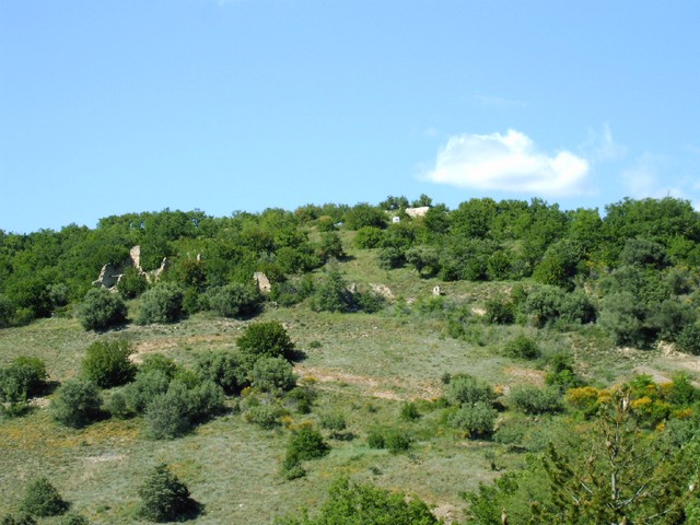 PhotoViereBW