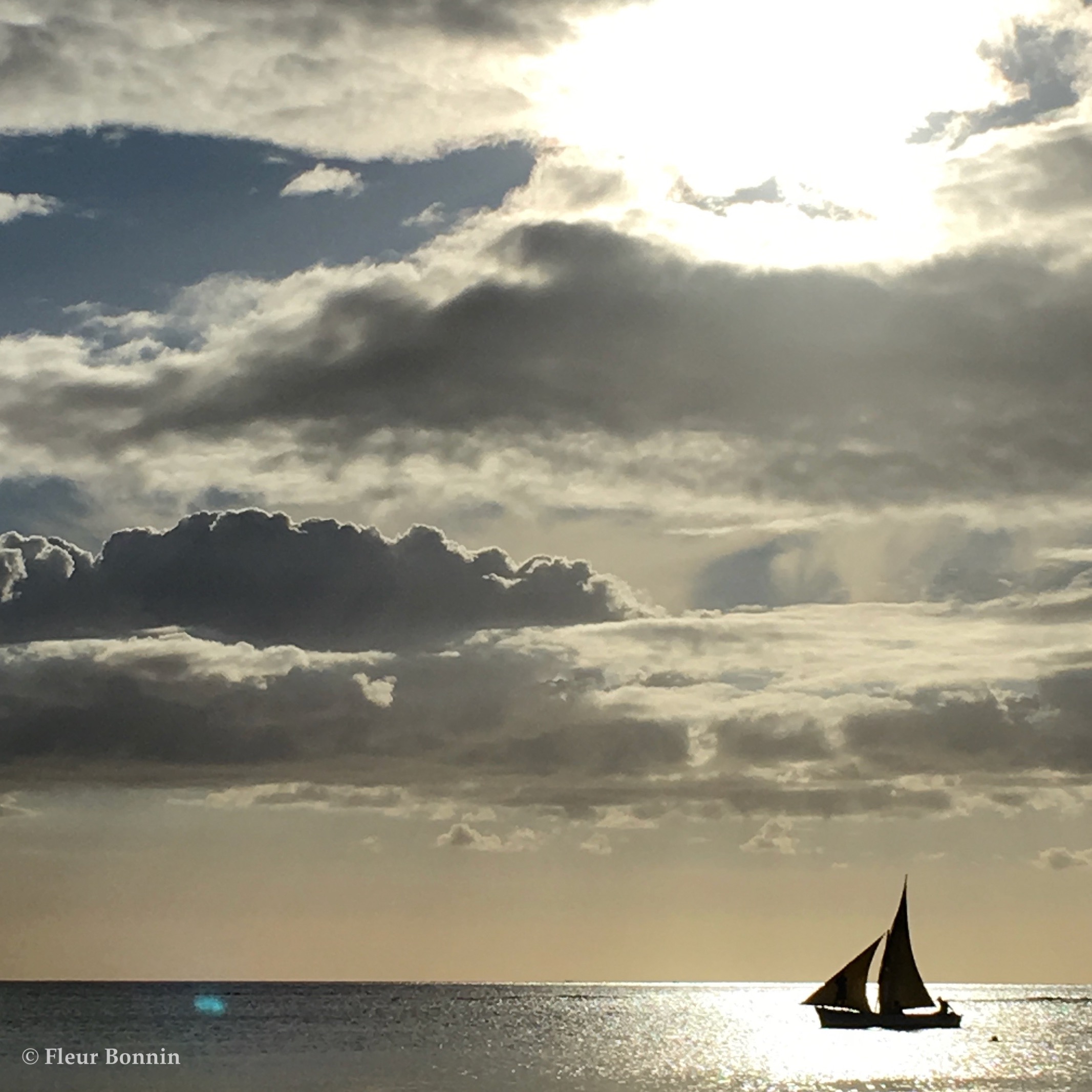 Pirogue o