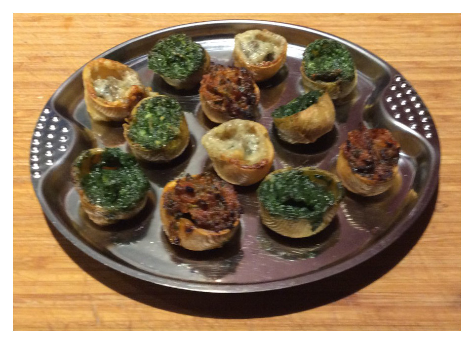 Schnack'apéro, assortiments de croquilles pour l'apéro, contenant des escargots Gros Gris cuits